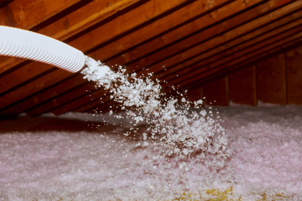 Best Geographic-Specific Insulation Services in Ladera Ranch, CA