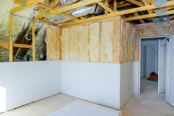 Best Cellulose Insulation in Ladera Ranch, CA
